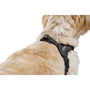 Harnais pour Chien Hunter SOHO MINI Noir