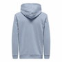 Sweat à capuche homme Only & Sons Onsceres Eventide Eau 124- Vibrant