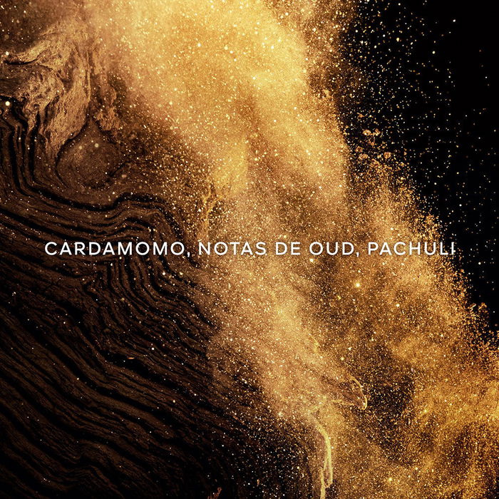 Guerlain ABSOLUS ALLEGORIA ÉPICÉES EXQUISES Eau de Parfum Vaporisateur 125 ml