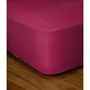 Lovely Home Drap-Housse 140x190+25 cm Fuchsia 100% Coton Réf. LH71616