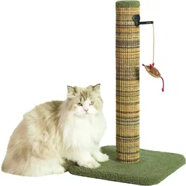 ZOLUX - Griffoir pour chat Boréal 60 cm - Poteau en sisal avec jouet suspendu et herbe à chat - Tapis doux, stable - Vert