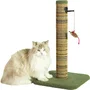 ZOLUX - Griffoir pour chat Boréal 60 cm - Poteau en sisal avec jouet suspendu et herbe à chat - Tapis doux, stable - Vert