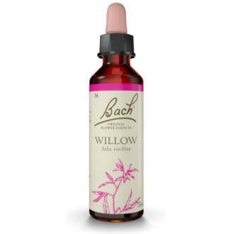 Flowers Bach Original Willow 20 ml Flowers Bach Original Willow 20 ml