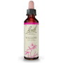 Bach Original Willow Nº38, 20 ml
