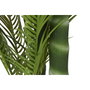 Home ESPRIT Plante décorative Palmier Vert