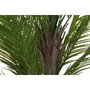 Home ESPRIT Plante décorative Palmier Vert