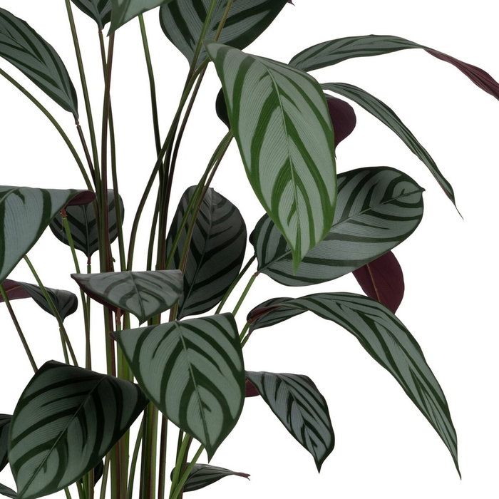 BigBuy Home Plante décorative PVC Ciment Tissu 50 x 50 x 220 cm
