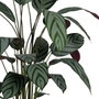 BigBuy Home Plante décorative PVC Ciment Tissu 50 x 50 x 220 cm