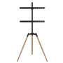 Support de TV GEMBIRD TVS-65S-01