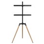 Support de TV GEMBIRD TVS-65S-01