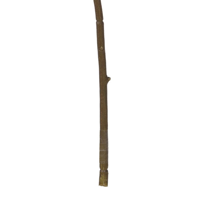 BigBuy Home Plante décorative Polyester 3 X 15 X 95 CM BigBuy Home Plante décorative Polyester 3 X 15 X 95 CM