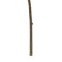 BigBuy Home Plante décorative Polyester 3 X 15 X 95 CM