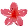 Cosmetic Club Pince à cheveux en forme de fleur