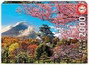 Educa Puzzle 2000 pièces Castillo de Osaka (Japon) - Pour adultes