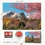 Educa Puzzle 2000 pièces Castillo de Osaka (Japon) - Pour adultes