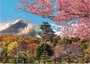 Educa Puzzle 2000 pièces Castillo de Osaka (Japon) - Pour adultes