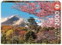 Educa Puzzle 2000 pièces Castillo de Osaka (Japon) - Pour adultes