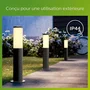 Philips Utrecht - Lampadaire extérieur sur poteau anthracite 1x20W haute tension - Éclairage jardin allée terrasse moderne et élégant en acier inoxydable