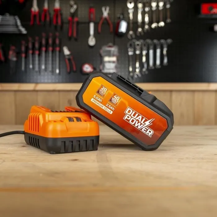 Dual Power POWDP90640 Batterie et Chargeur pour Outils sans Fil 20V/40V - Batterie 2x20V 5.0Ah (5000mAh/90Wh) - Chargeur 80min/4h