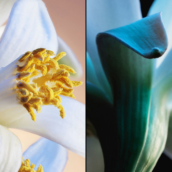 Guerlain Jardins de Bagatelle Eau de Parfum pour Femme 75 ml