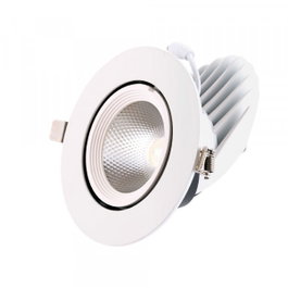 Foco Downlight LED 30W Blanco Cálido Circular Orientable 4500Lm 2700K