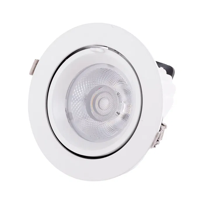 Downlight LED 30W 4500Lm 2700K Circulaire Orientable 40.000H HO-COB-C-OR-30W-WW