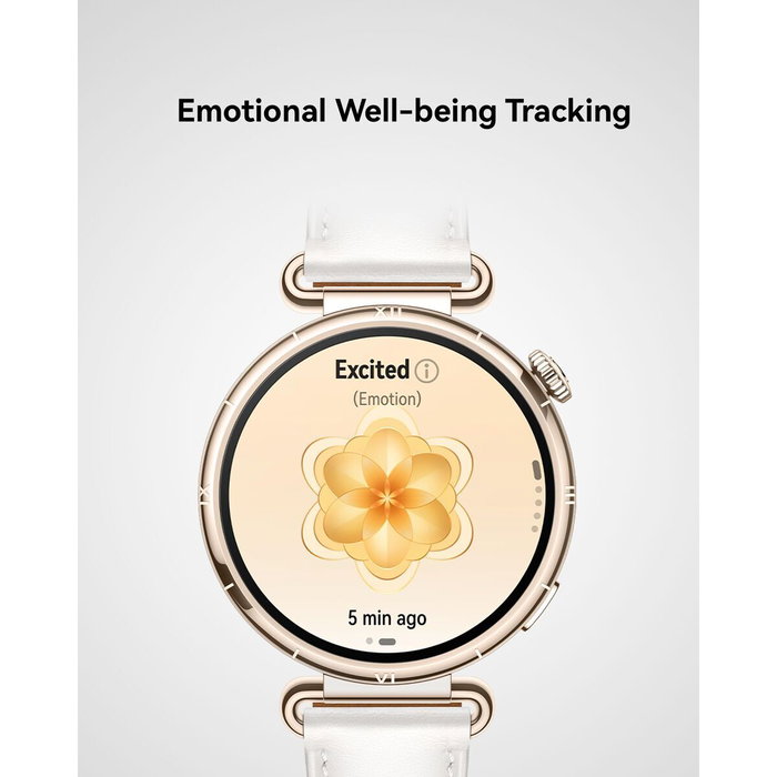 Montre intelligente Huawei Watch GT 6 Konsu-B19M Doré 1,32"