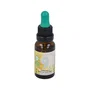 MARNYS Formula 09 Zen Complexe Floral 20ml