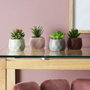 Home Deco Factory Plante Artificielle Origami