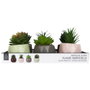 Home Deco Factory Plante Artificielle Origami
