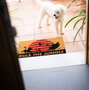 Disney Le Roi Lion paillasson Rule The Jungle 40 x 60 cm