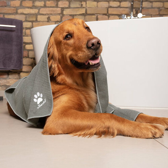 Serviette en Microfibre Vileda 172651 Gris XL 65 x 100 cm