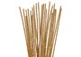 Innspiro Limpiapipas Chenille Métalliques Or 3mm x 30cm, 40u.