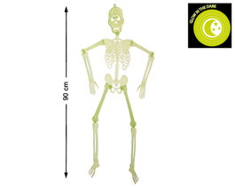 Atosa Squelette Fluorescent de 90 cm qui Brille dans l'Obscurité