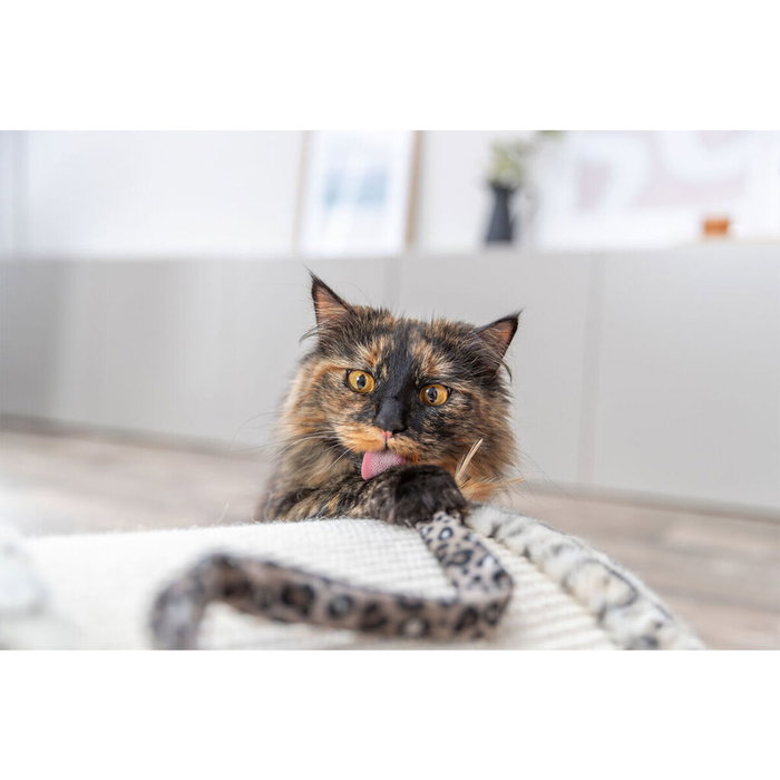 Grattoir pour Chats Trixie Leo Crème 25 cm