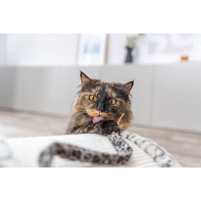 Grattoir pour Chats Trixie Leo Crème 25 cm