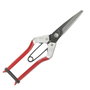 Wolfpack Linea Profesional Ciseaux Wolfpack Récolte d'ail P 1702 - 210 mm