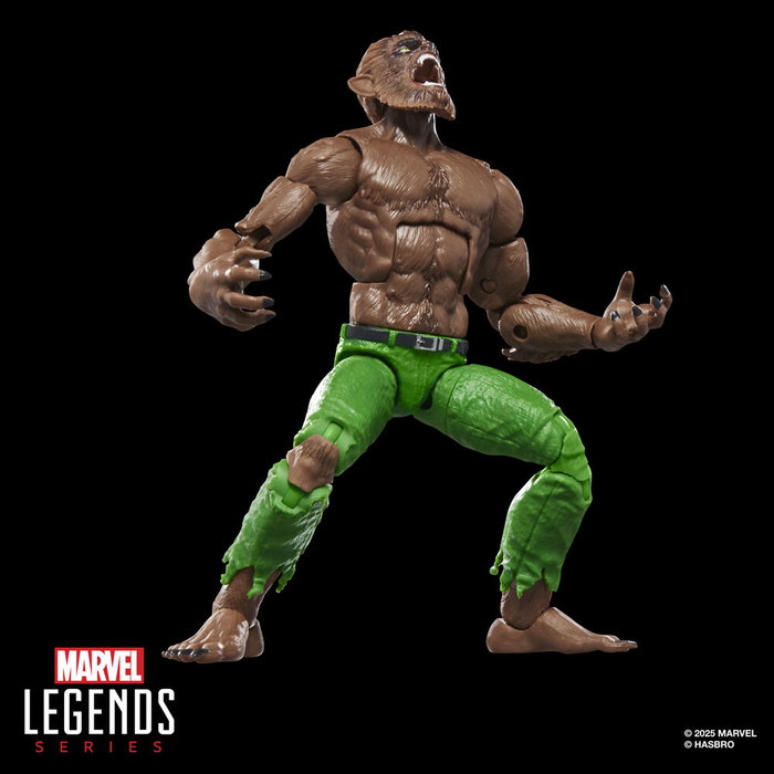 Hasbro Marvel Legends Series - Figurine articulée Werewolf By Night 15 cm avec accessoires supplémentaires