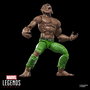 Hasbro Marvel Legends Series - Figurine articulée Werewolf By Night 15 cm avec accessoires supplémentaires