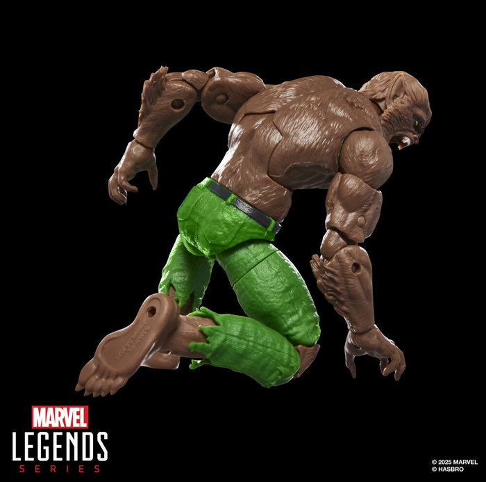 Hasbro Marvel Legends Series - Figurine articulée Werewolf By Night 15 cm avec accessoires supplémentaires