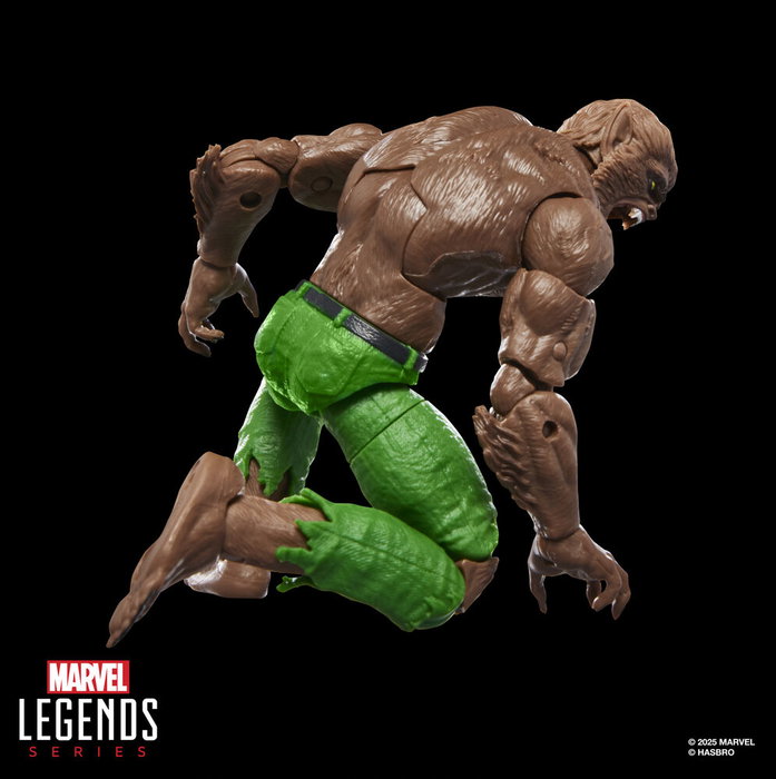Hasbro Marvel Legends Series - Figurine articulée Werewolf By Night 15 cm avec accessoires supplémentaires
