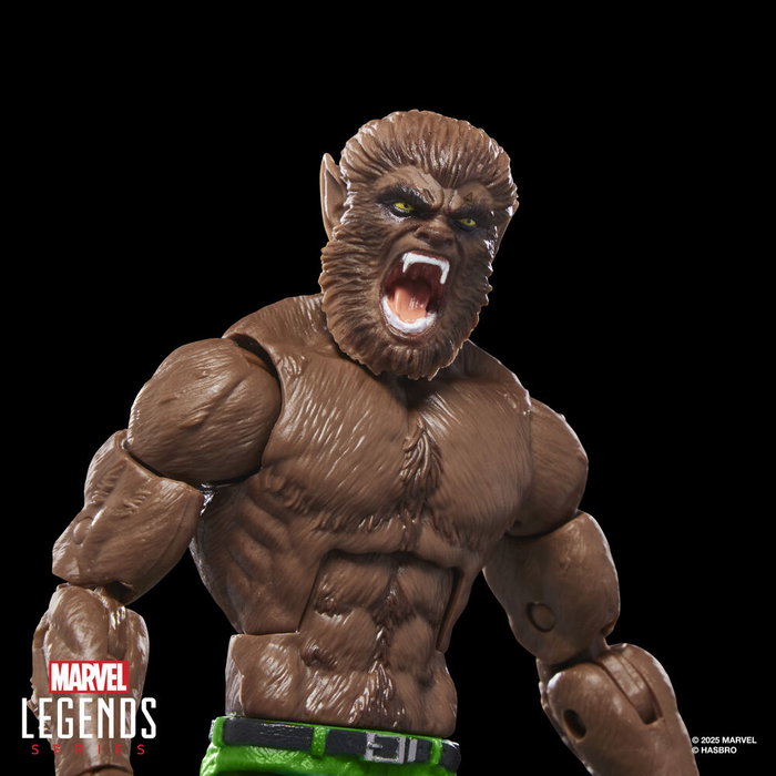 Hasbro Marvel Legends Series - Figurine articulée Werewolf By Night 15 cm avec accessoires supplémentaires