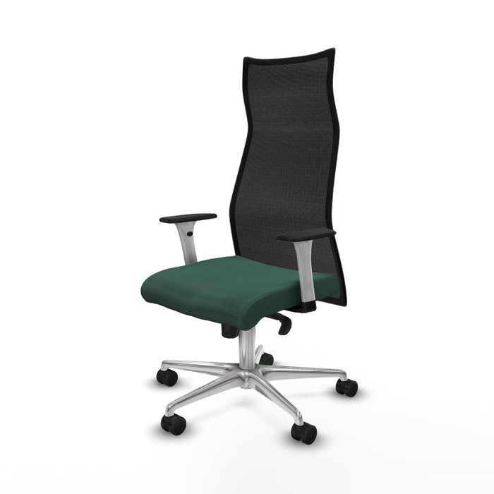 Piqueras y Crespo Chaise de Bureau Albacete Vert Bouteille et Noir