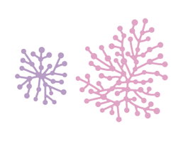 Misskuty Emporte-pièces fins ZAG Fleurs et Plantes (lot de 2)