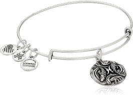 ALEX AND ANI Pulsera en Laiton Argenté 17,5 cm