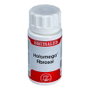 EQUISALUD HOLOMEGA FIBROSOL 50 capsules