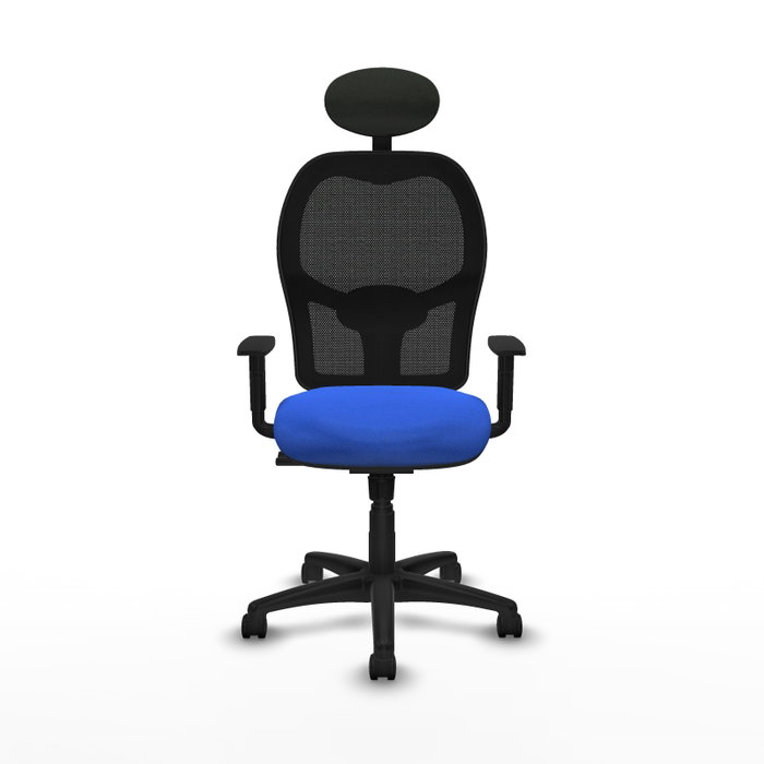 Piqueras Y Crespo Chaise de bureau Alocén, Assise Bleue et Dossier Maille Noir