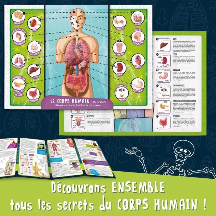 Lisciani Giochi I'M A GENIUS POCKET - Kit Scientifique Découverte du Corps Humain avec Modèle 3D Anatomique, Expériences Éducatives pour Enfants 8 ans et plus Lisciani Giochi I'M A GENIUS POCKET - Kit Scientifique Découverte du Corps Humain avec Modèle 3D Anatomique, Expériences Éducatives pour Enfants 8 ans et plus