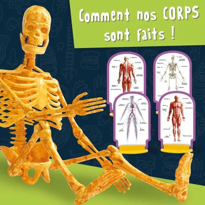 Lisciani Giochi I'M A GENIUS POCKET - Kit Scientifique Découverte du Corps Humain avec Modèle 3D Anatomique, Expériences Éducatives pour Enfants 8 ans et plus Lisciani Giochi I'M A GENIUS POCKET - Kit Scientifique Découverte du Corps Humain avec Modèle 3D Anatomique, Expériences Éducatives pour Enfants 8 ans et plus