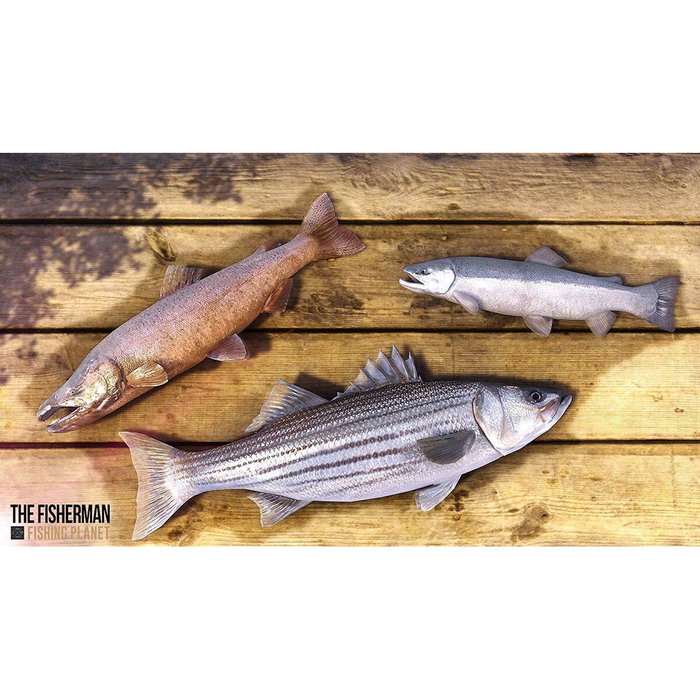 Jeu vidéo PlayStation 4 Nacon PS4FISHPLANLTDSPPT